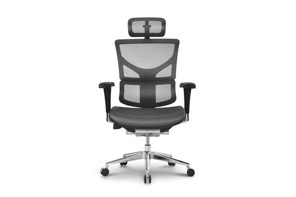 best ergonomic chair for back pain