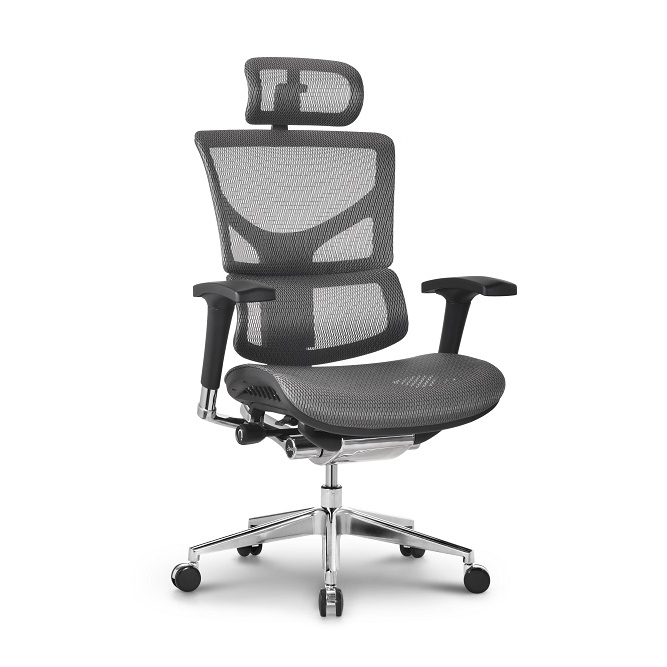 ergonomic chair for back pain
