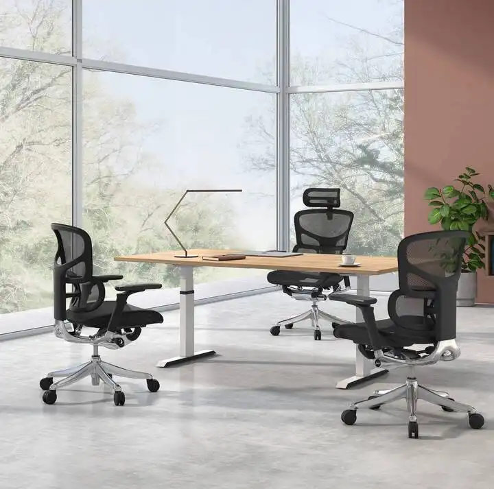 人間工学に基づいたオフィスチェアのトップメーカー/サプライヤー