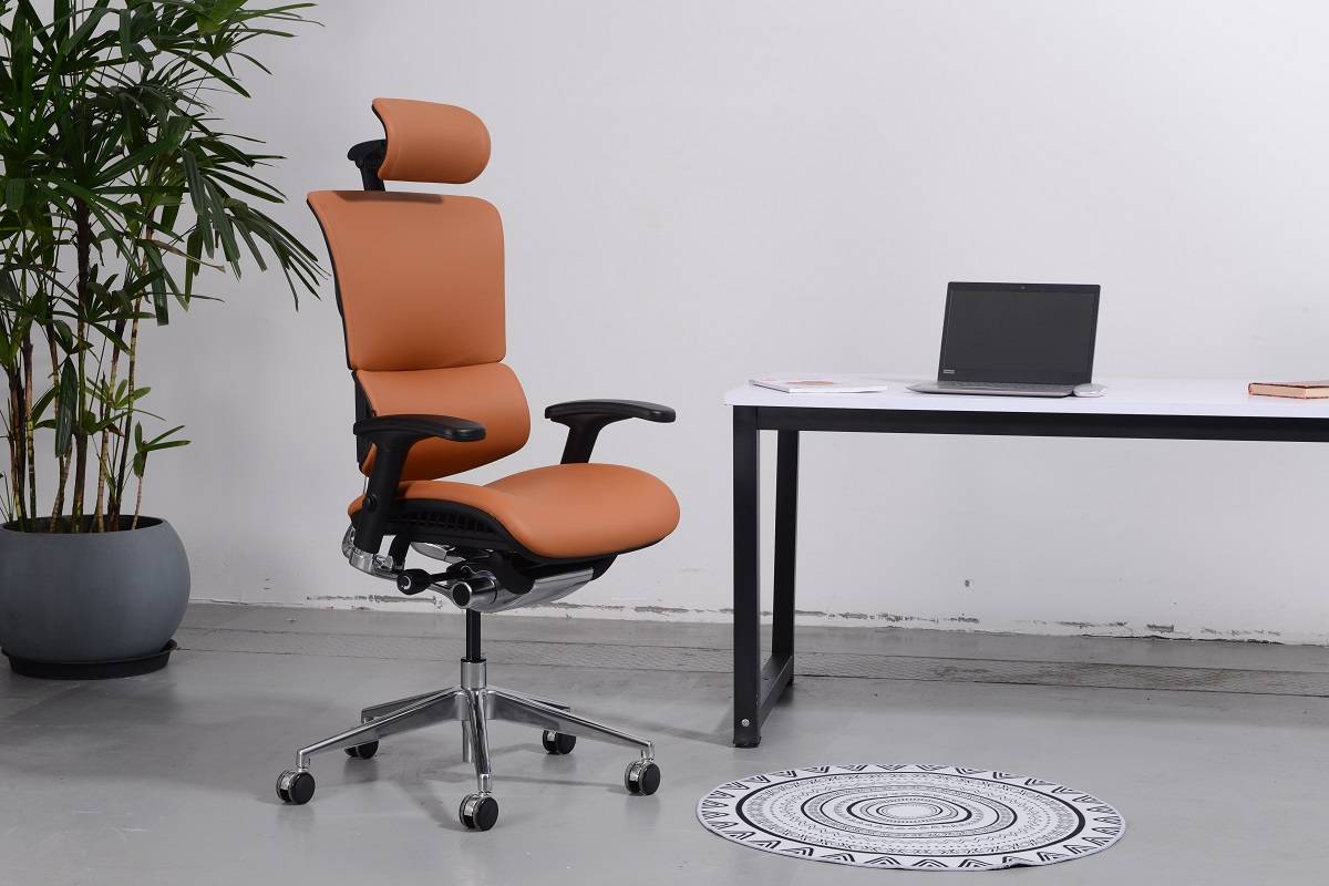 Ergonomic Office Chair with Lumbar Support Sail Leather Ergonomic ...