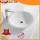 standard above counter vanity basin design for room 1