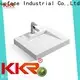 hang wall hung countertop customized for bathroom 1