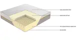 Time Capsule foam latex spring mattress difference Wholesale Supply 3
