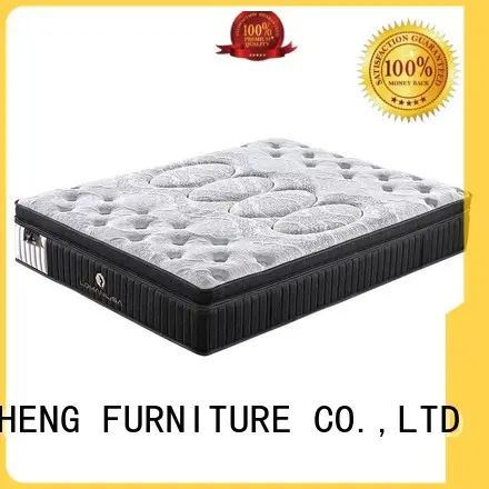 top mattress in a box reviews cost with elasticity 1
