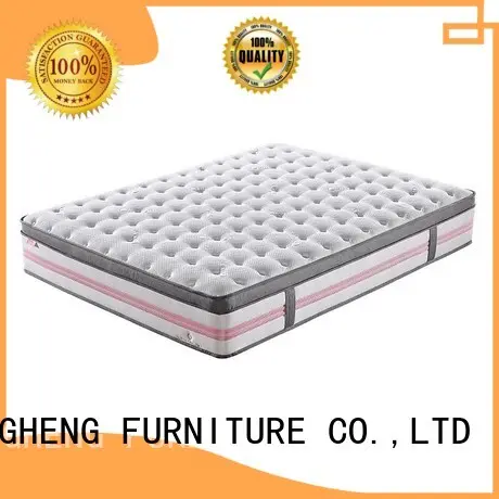Euro Top Design Princess Pink 5 Zoned Wool Darcon Foam Pocket Spring Mattress with Anti-Mite Function 1