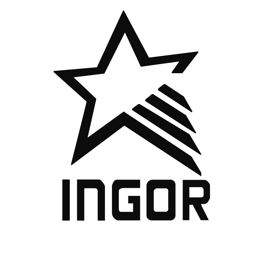  INGOR Array image83