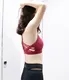 INGOR Brand wireless comfortable colorful sports bras 5