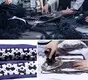 printed Custom spandex pants yoga pants INGOR waisted 2