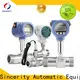 wholesale endress and hauser flow meter for sale for density measurement 1