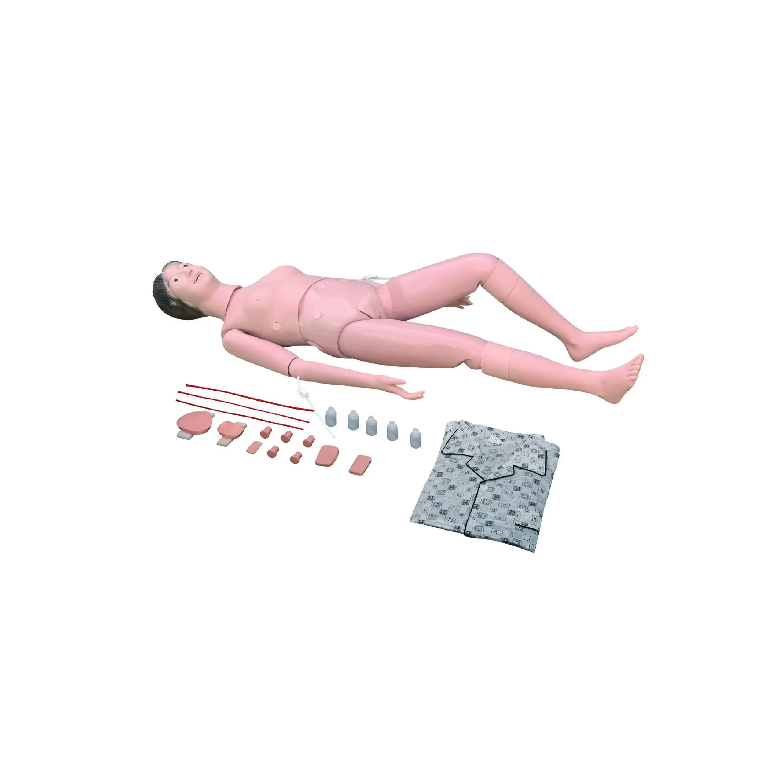 High Efficientmedical 3d Models Teaching Model 10kgs 7
