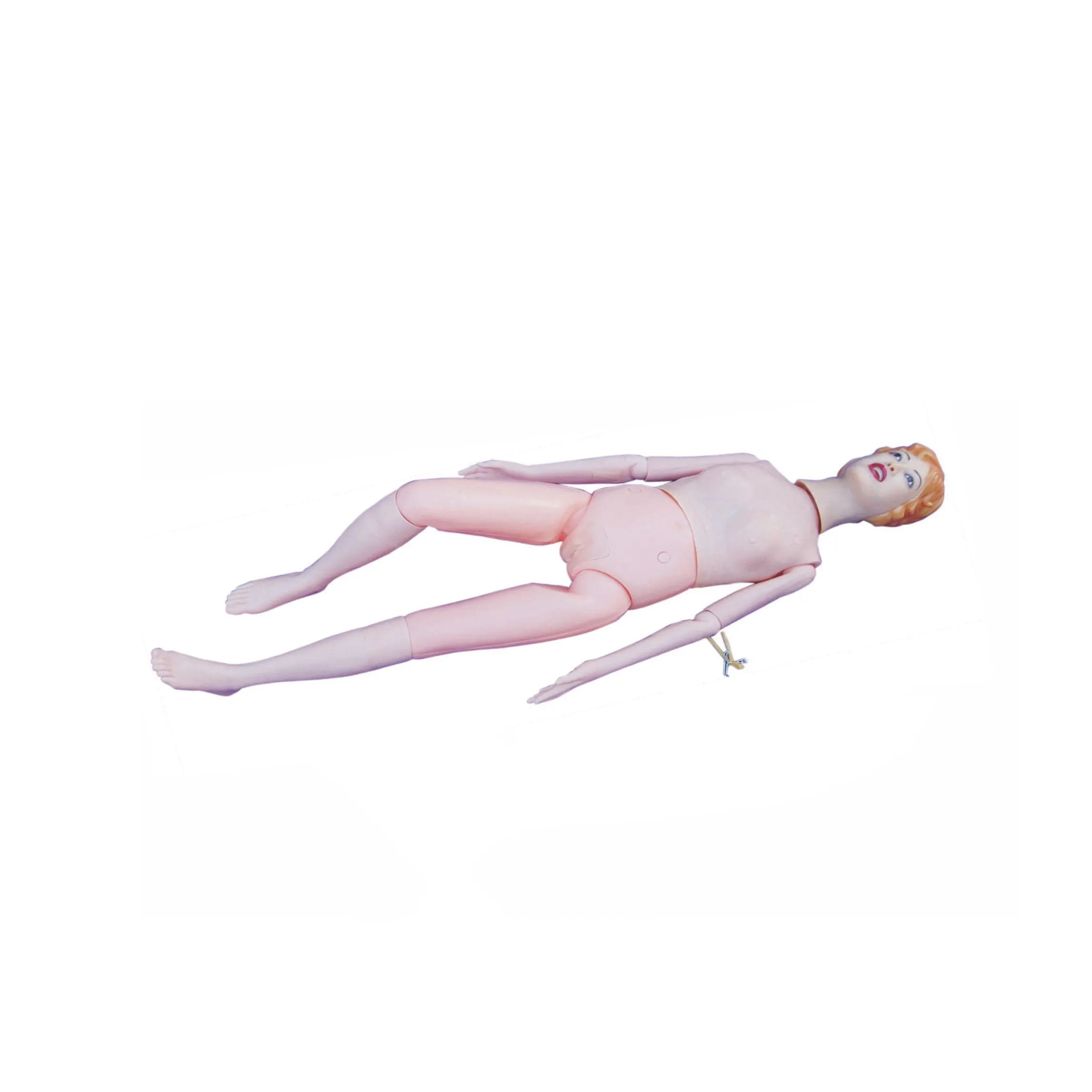 High Precision Medical Teaching Mannequins Manufacturer 4
