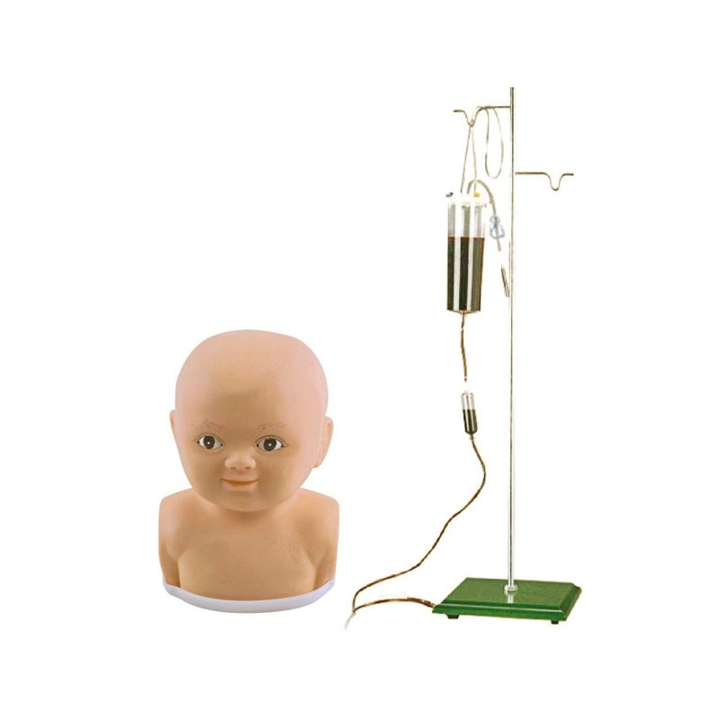 Modelo de entrenamiento de veneno al cuero cabelludo infantil | Interno 1