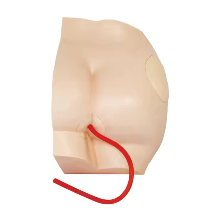 Buttock Injection Nursing Teaching Model | INNORKOM 1