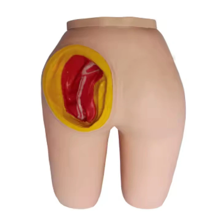 Advanced Intramuscular Injection Training Model | INNORKOM 1