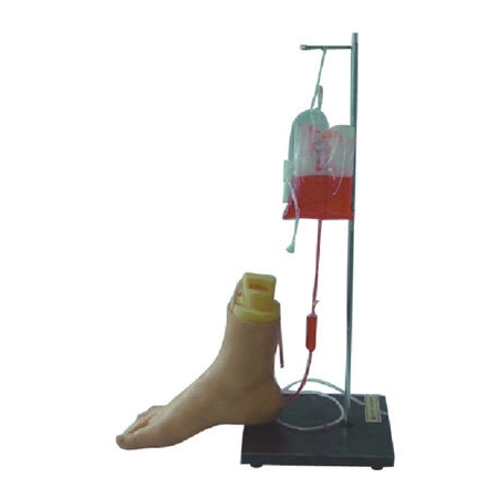Foot Vein Injection Model | INNORKOM 1