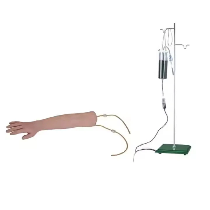 Arm Venipuncture Training Model | INNORKOM 1