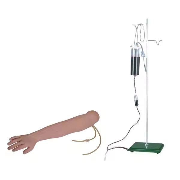 Arm Venipuncture & Intramuscular Injection Training Model | INNNORKOM 1
