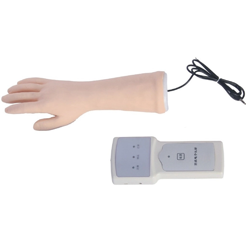 Electronic Hand Venipuncture Training Model | INNORKOM 1