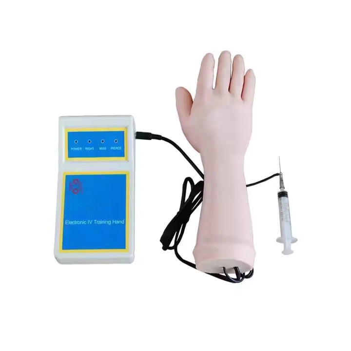 Electronic IV Hand Venipuncture Training Model | INNORKOM 1