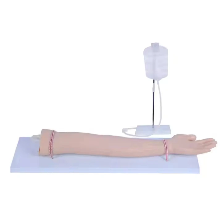 Venipuncture Injection Muscle Arm Teaching Practice Model | INNORKOM 1