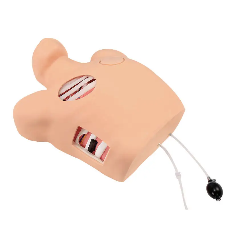INNORKOM Central Venous Puncture Model INNORKOM Central Venous Puncture Modelmanufacturer 2