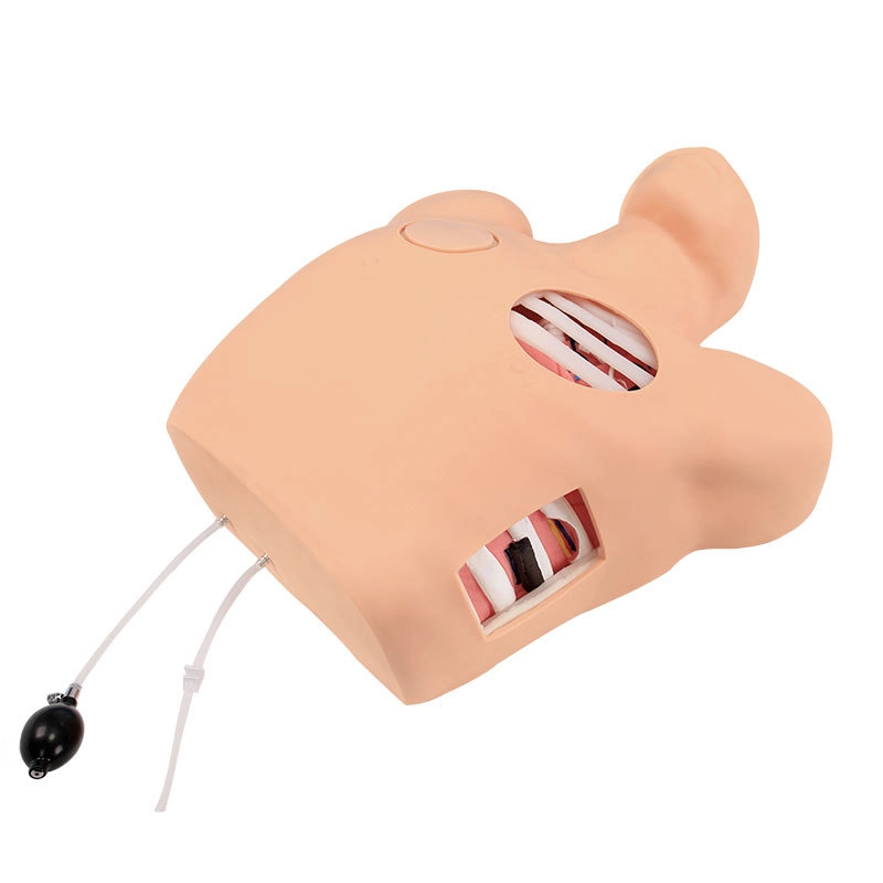 Pneumothorax / Pleural Drainage (Artificial Hydrothorax) Simulator | INNORKOM 1
