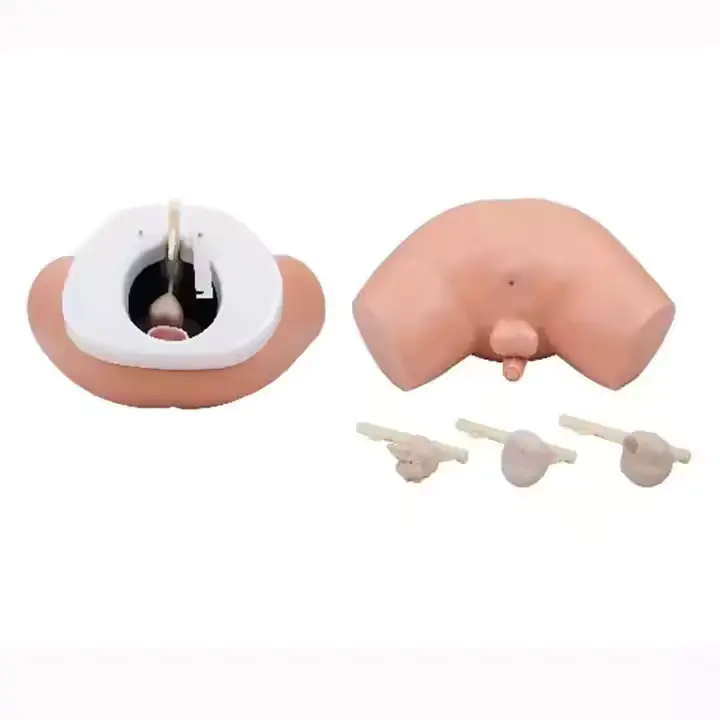 Vein Intubation Model Vendor for Operating RoomINNORKOM 2