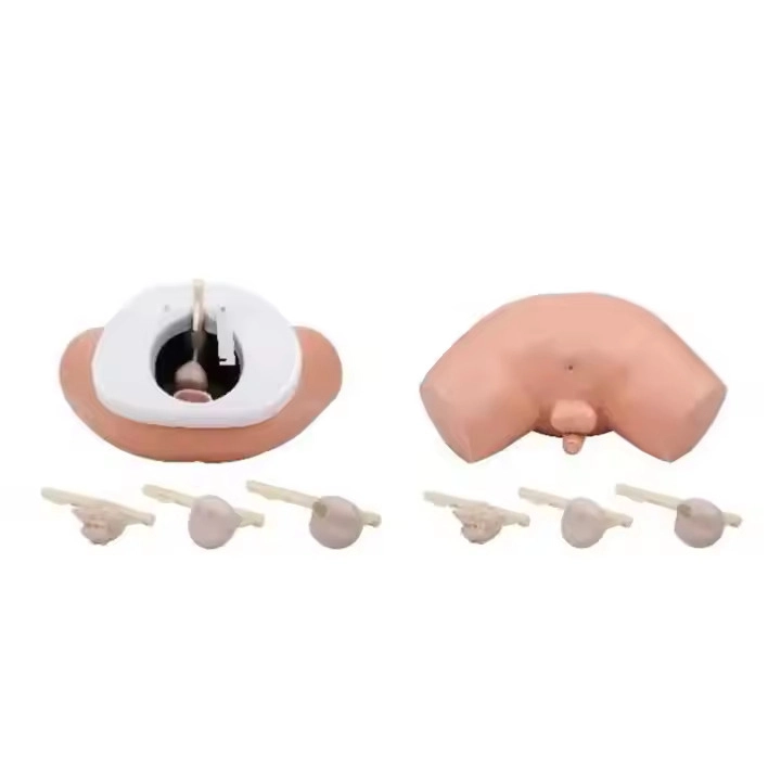 Prostate Examination Simulator | INNORKOM 1