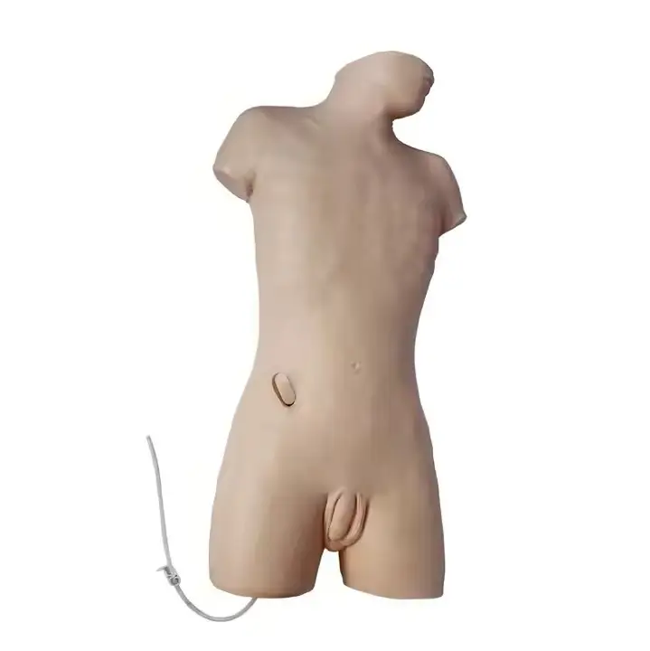 Medical Skeleton Model INC-VM04 - for Operating Room - INNORKOM 2