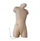 Medical Skeleton Model INC-VM04 - for Operating Room - INNORKOM 2