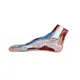 Sterile and Corrosion Resistant 3b Anatomy Models Manufacturer for Medical Grade 3