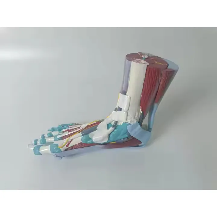 Sterile and Corrosion Resistant Anatomical Eye Model for Medical Grade 4