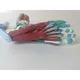 Sterile and Corrosion Resistant Anatomical Eye Model for Medical Grade 3