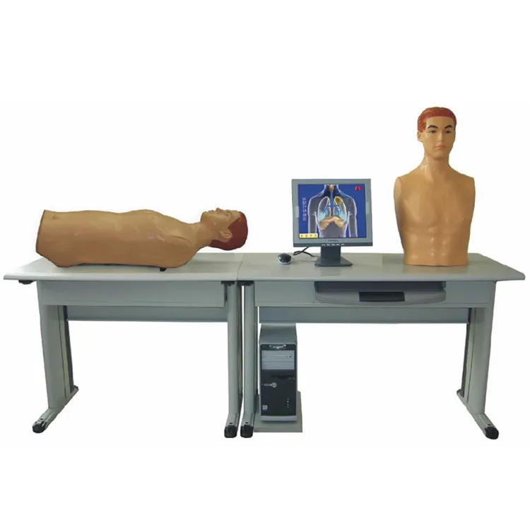 For Operating Room Medical Skeleton Model INC-DC01 by INNORKOM 3