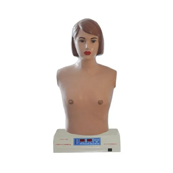 Medical Educational Models INC-DC03 Wholesale - INNORKOM 3