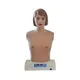 Medical Educational Models INC-DC03 Wholesale - INNORKOM 3
