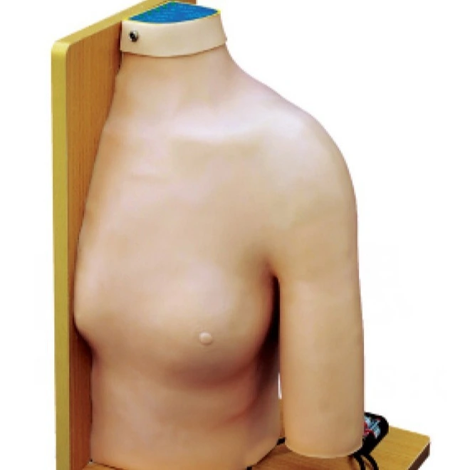 Shoulder Joint Intracavitary Injection Model | INNORKOM 1