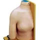 Wholesale Medical Educational Models Medical Educational Models Company 2