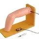 Skeleton Anatomy Model INC-IM103 INNORKOMsupplier 2