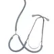 Medical Educational Models INC-SL100 - for Medical Grade - INNORKOM 3
