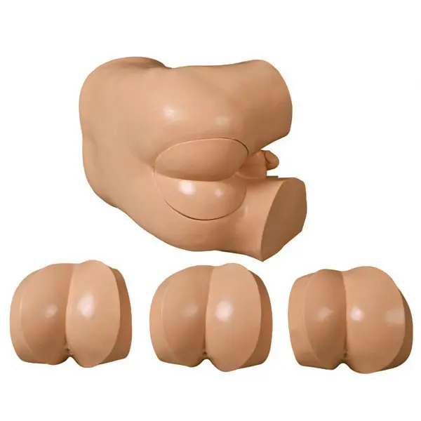 High Quality Skeleton Anatomy Model Supplier for Operating Room 2