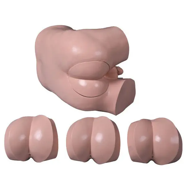 High Quality Skeleton Anatomy Model Supplier for Operating Room 3