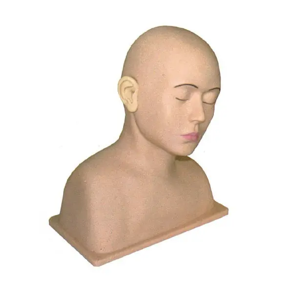 Medical Skeleton Model Supplier for Medical GradeINNORKOM 2