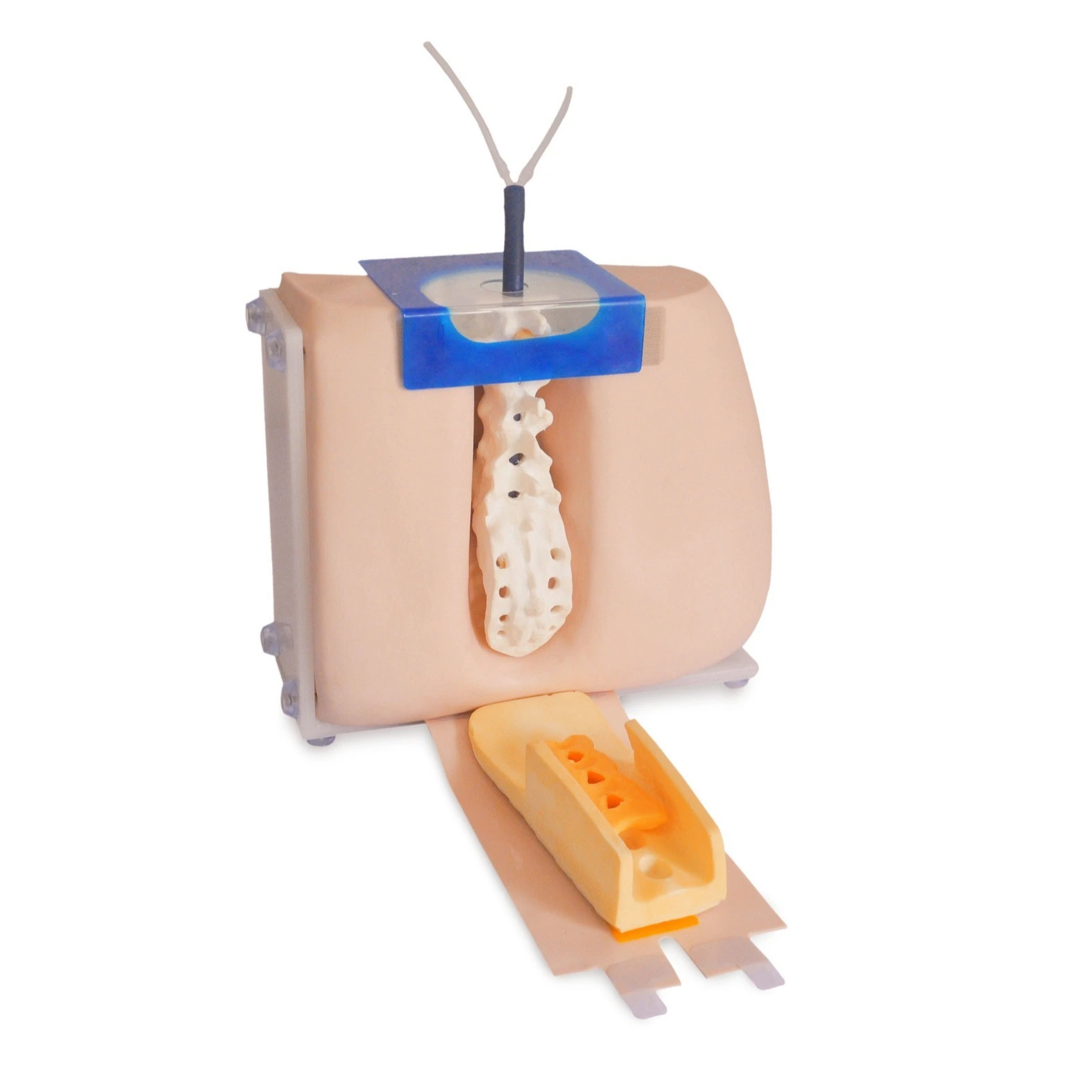 Lumbar Puncture Model | INNORKOM 1