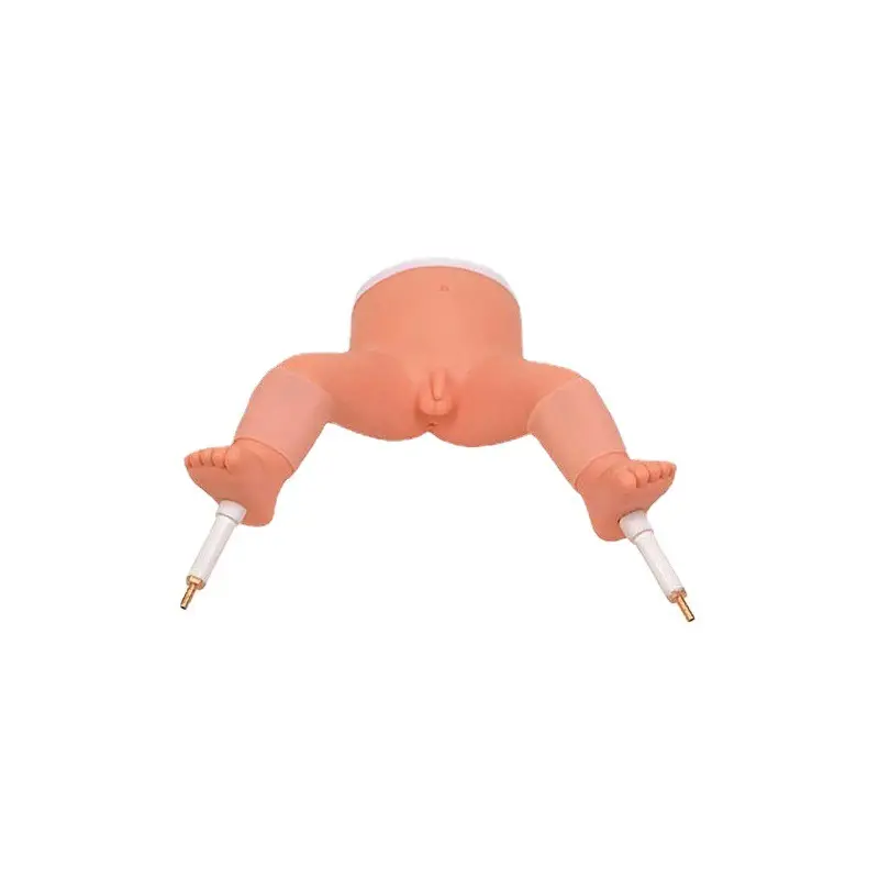 High Quality Medical Skeleton Model for Operating Room 2