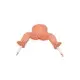 High Quality Medical Skeleton Model for Operating Room 2