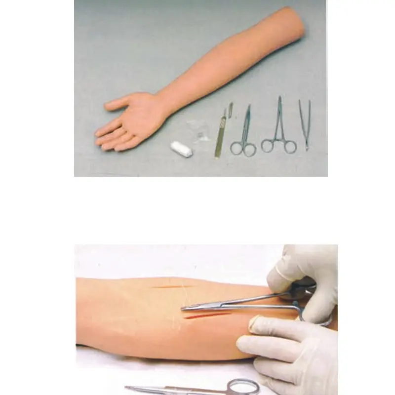 Custommedical Anatomy Models for Medical Grade INC-VM12 INNORKOM 3