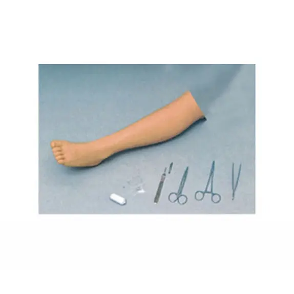 High Quality Medical Anatomy Models for Medical Grade 2