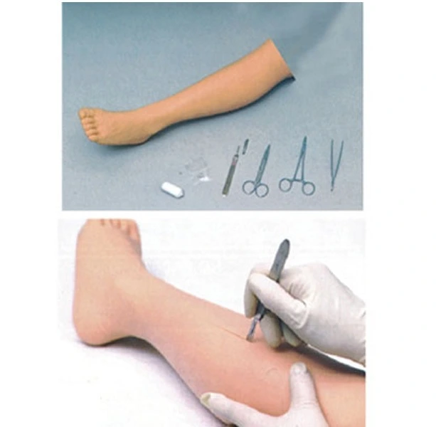 Surgical Suture Leg Model | INNORKOM 1