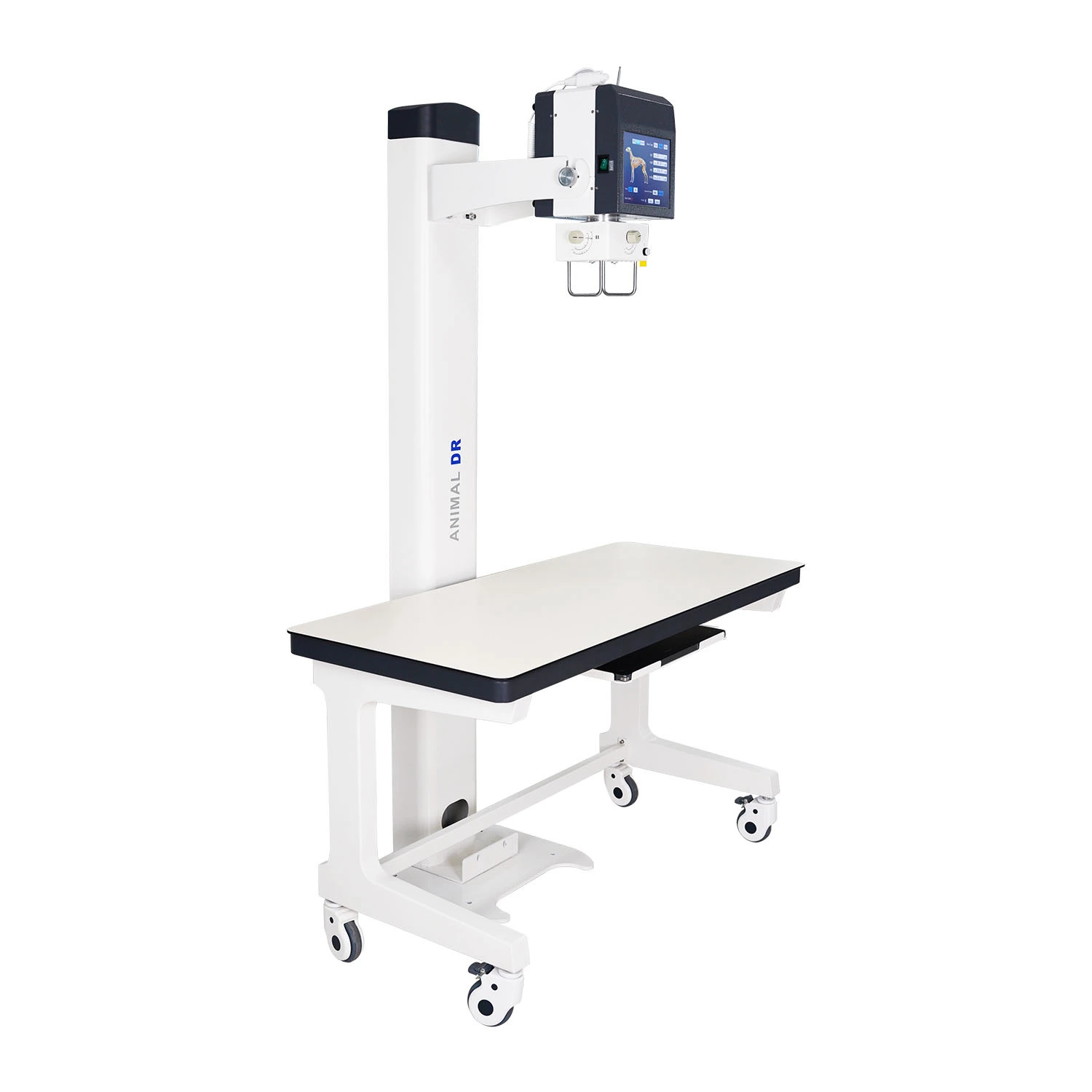 Máquina de Raio X de Alta Frequência Raio X Digital para Animais de Estimação Radiografia de Pequenos Animais 1